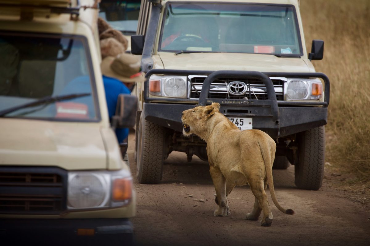3 Days Tanzania Safari