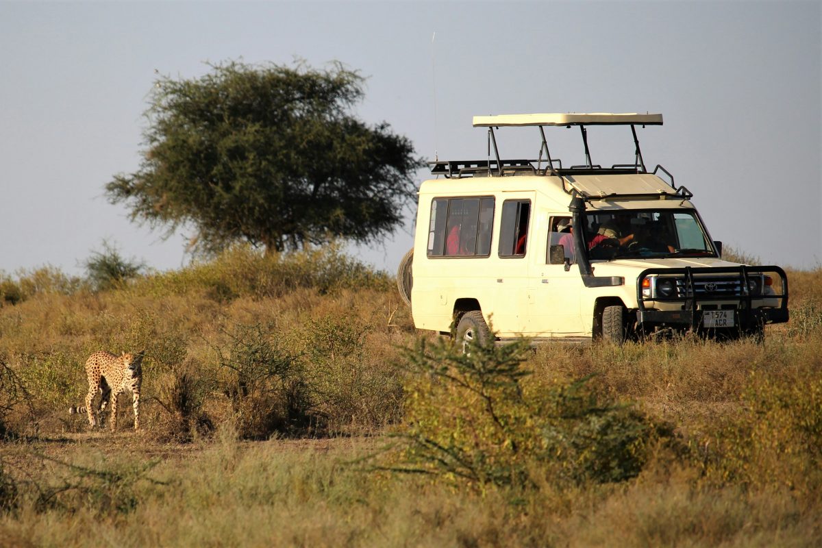 7 Days Wildlife Exclusive Adventure