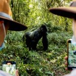 Are gorilla safaris safe