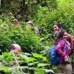 Nature Walks in Bigodi Wetland